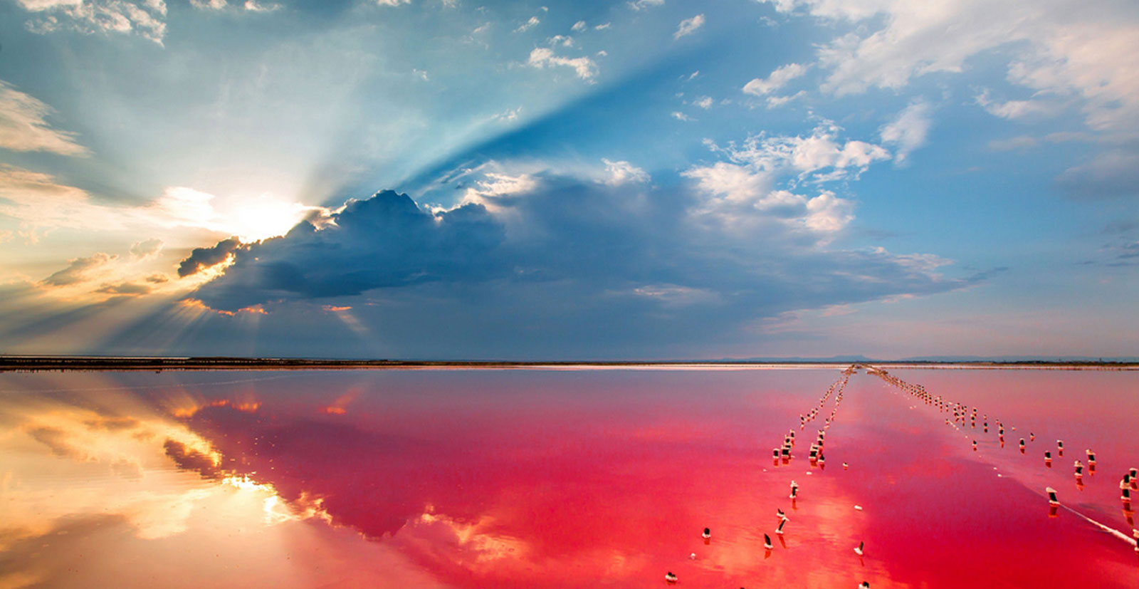 Озеро Сасык-Сиваш иллюстрация 5