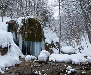 Водопад Серебряные струи - иллюстрация 7