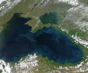 Чёрное море - иллюстрация 2